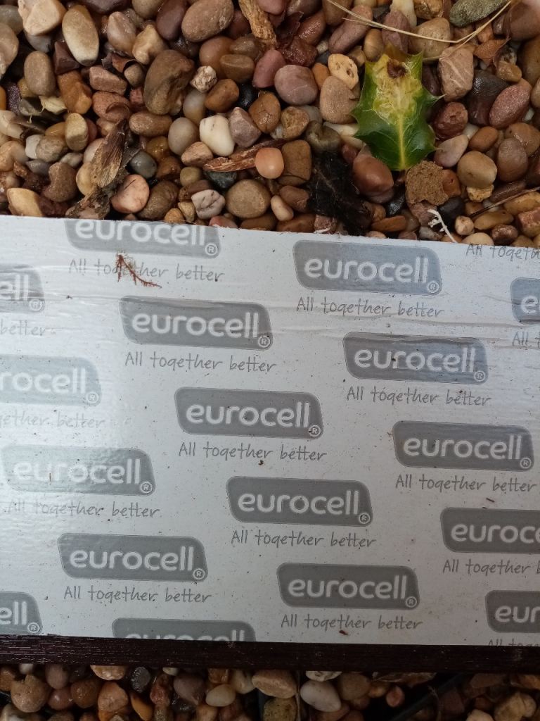 Eurocell fascia– Unused Building Material