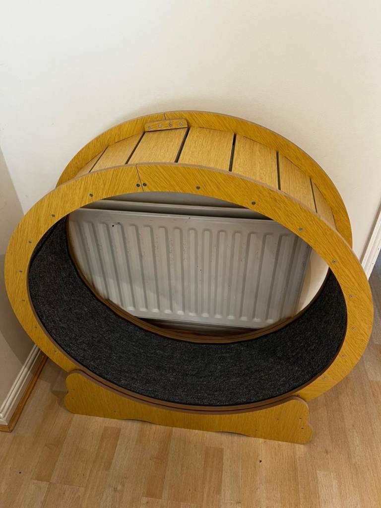 Cat wooden wheel exercise 