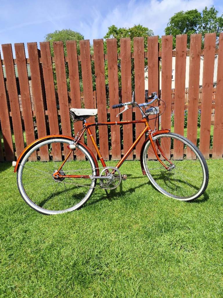 Raleigh Palm Beach bike