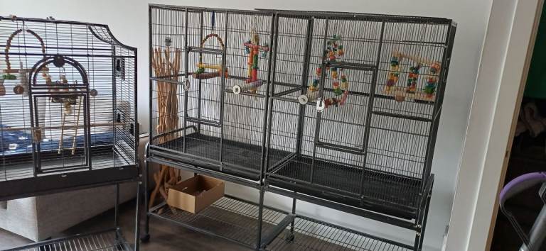 Bird cages 