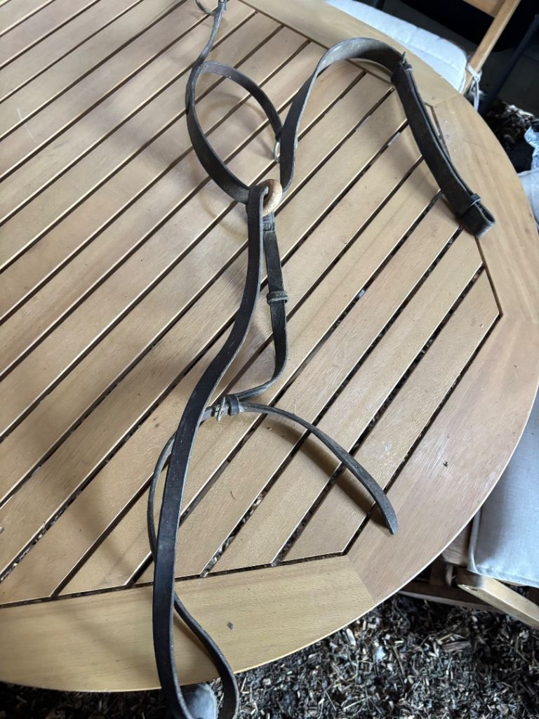Pony leather martingale 