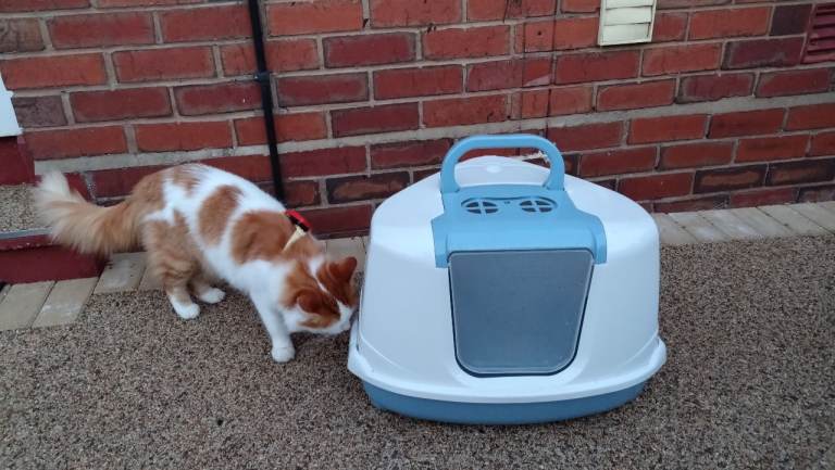 Plastic Cat Litter Box