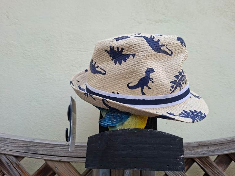 image for Child's Hat, Trilby Style, Cream with Blue Dinosaurs, 6-9yrs