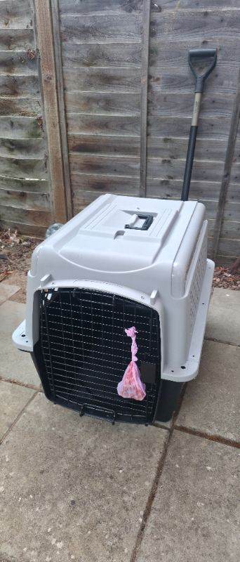 International compliant dog crate