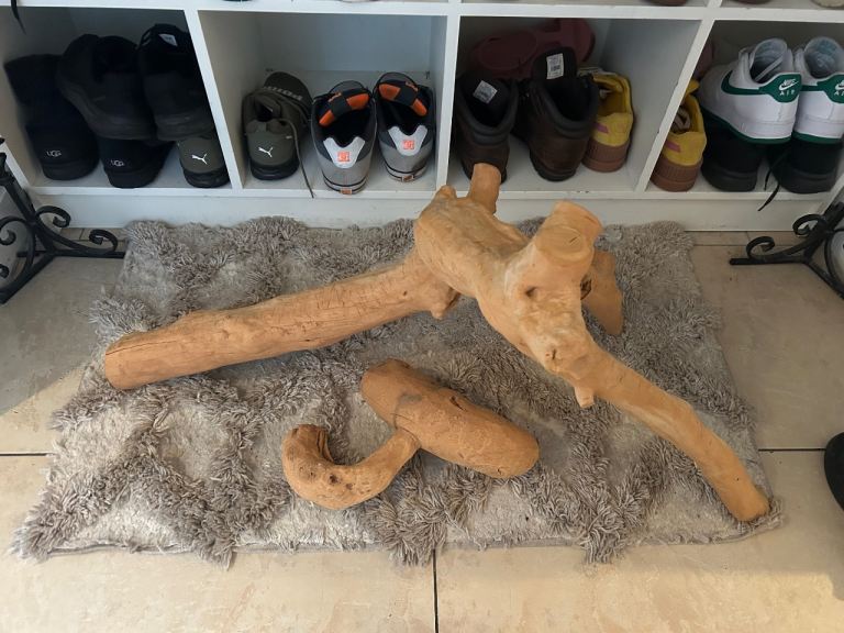 Large Reptile Branch set
