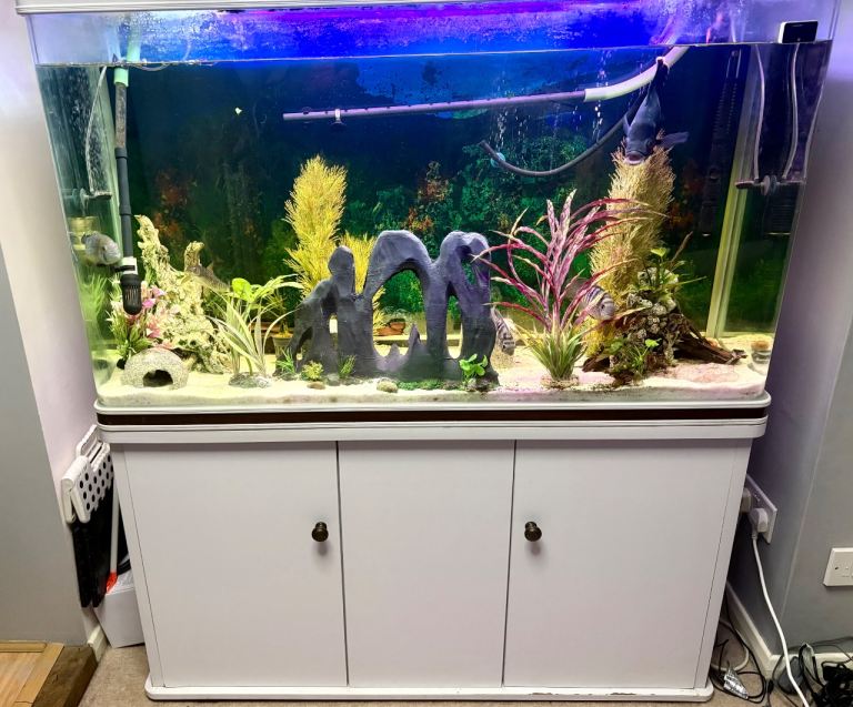 300L Fish Tank