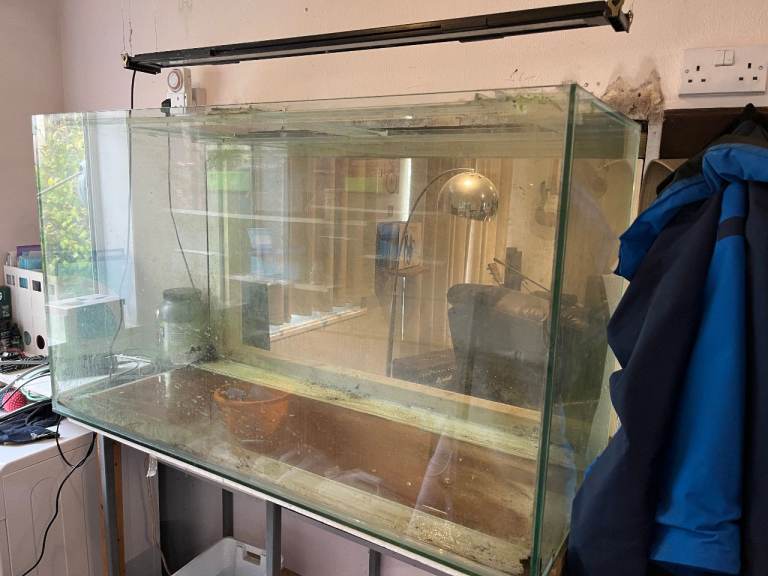 image for Bespoke fish tank