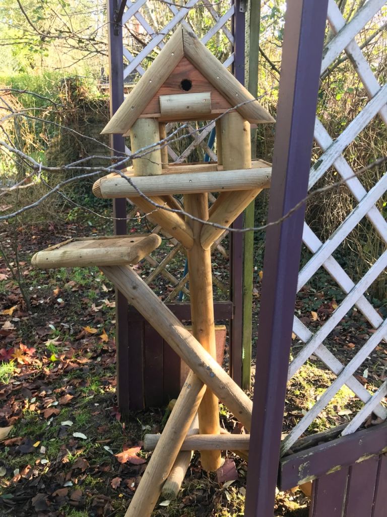 Wooden Bird TAble with Nesting box