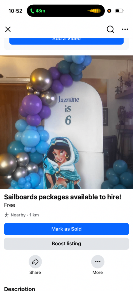 Jasmine Birthday Party Prop & Balloon Arch – Great Condition