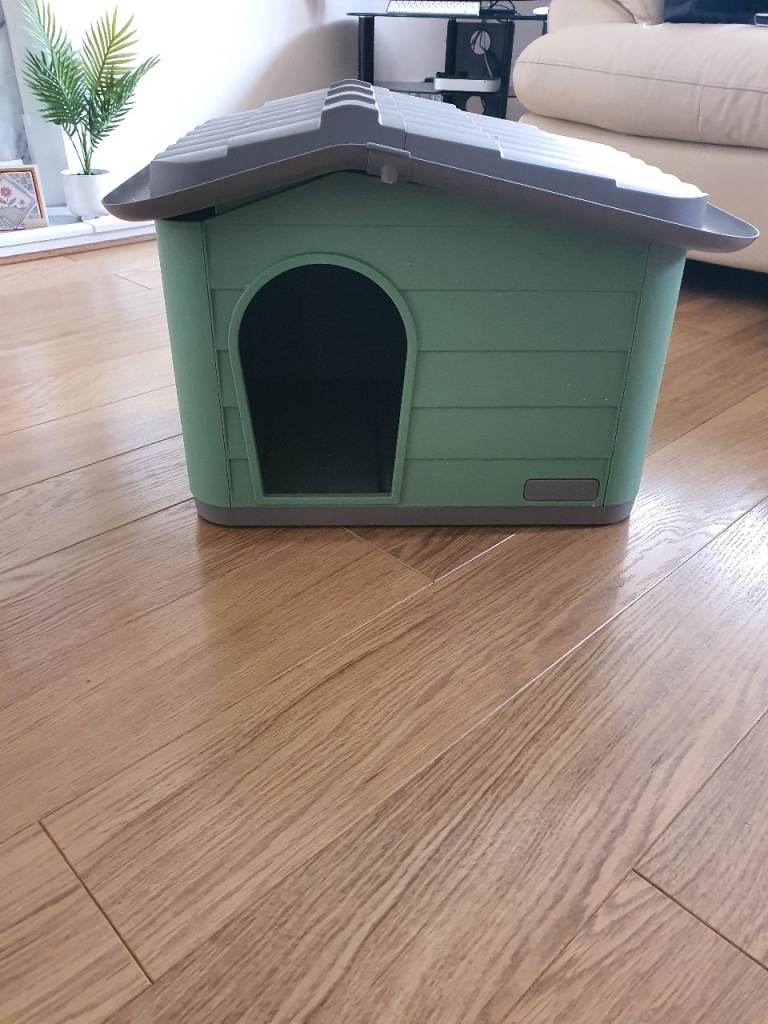 Small dog/cat  in or outside kennel