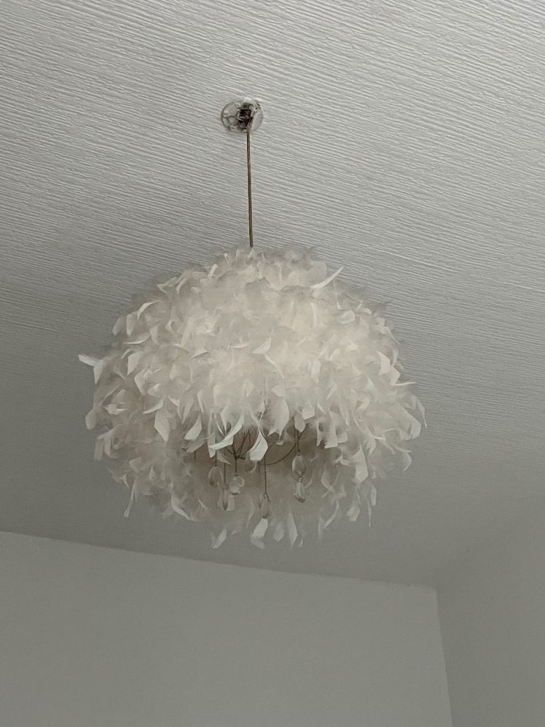 Feather Lampshade with crystals