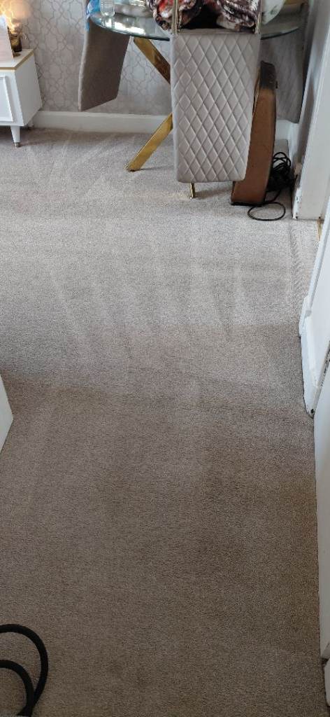 Carpet, Rug & Upholstery/Sofa Cleaner - Professional & Commercial Carpet Cleaning