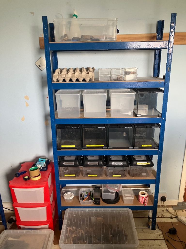 Invert pet enclosures