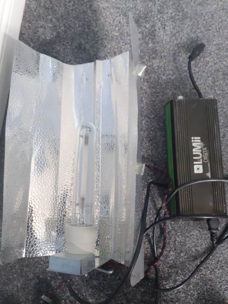 600w Grow Light Kit Hydroponics Ballast Bulb Reflector 