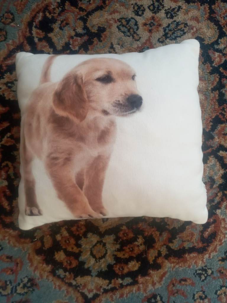 SMALL CUSHION DEPICTING A DOG