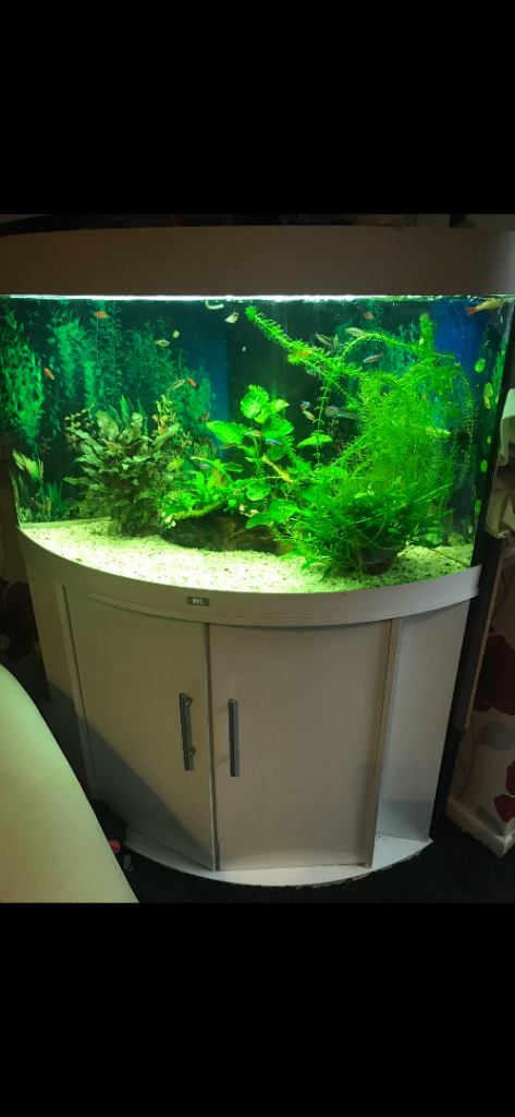 Jewel white 190l aquarium tank with stand
