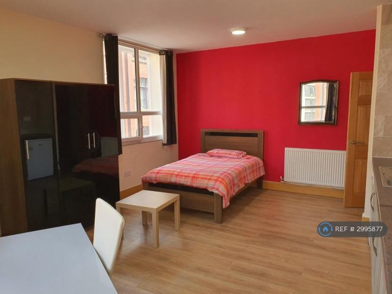 Studio flat in Cobourg Street, Manchester, M1 (#2995877)