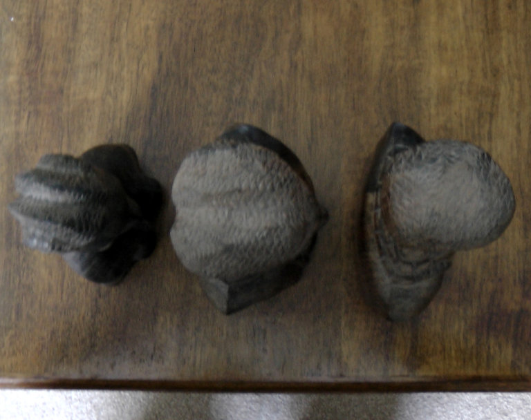 3 Vintage African Solid Hardwood Figure Busts - 2 Male (16cm) & 1 Female (18cm)