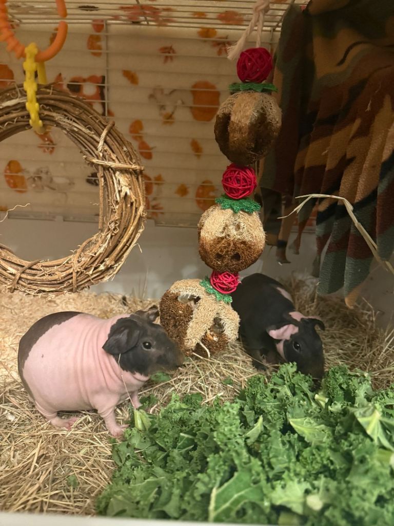 image for Skinny’s 