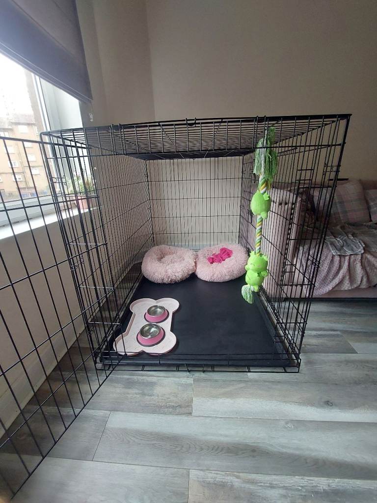 Xxl dog cage 