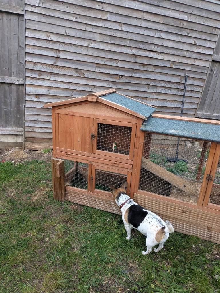 Rabbit hutch and run 