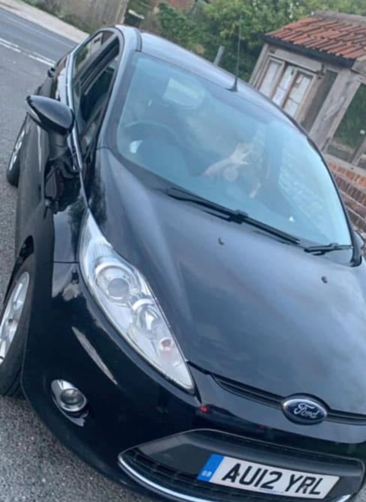 Ford, FIESTA, Hatchback, 2012, Manual, 1560 (cc), 5 doors