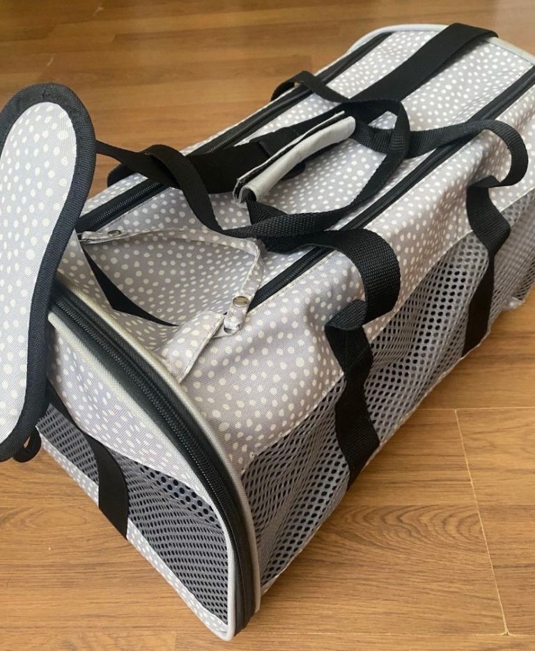 Small Dog/Cat Carrier