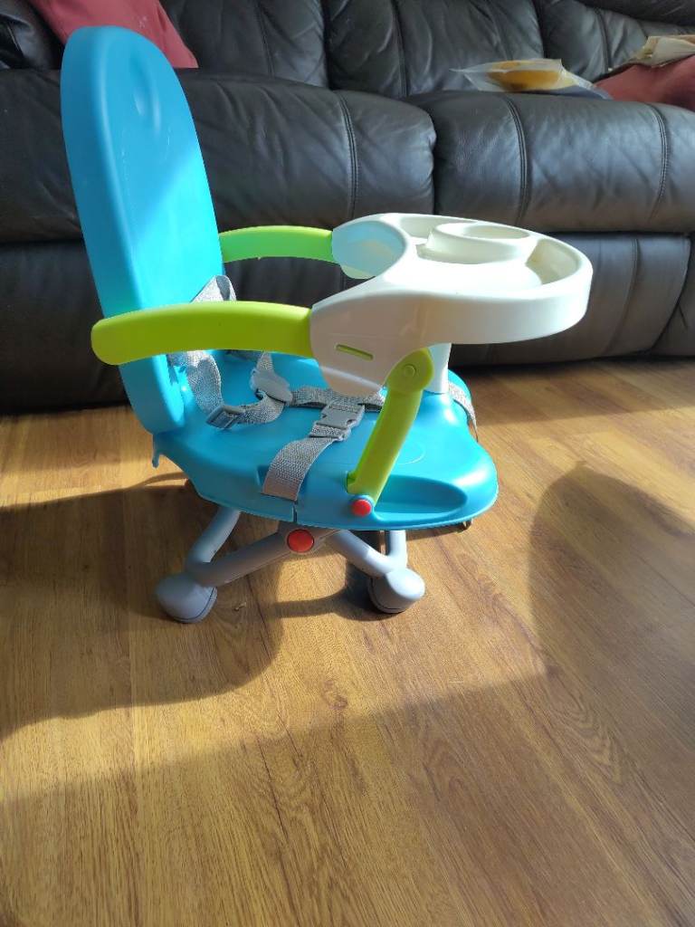 Portable Booster Seat
