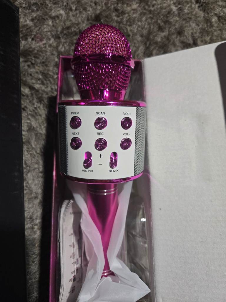 Karaoke mic