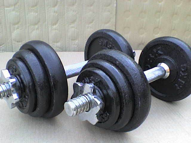 45 lb 21 kg Metal Spinlock Dumbbell Weights - Heathrow 