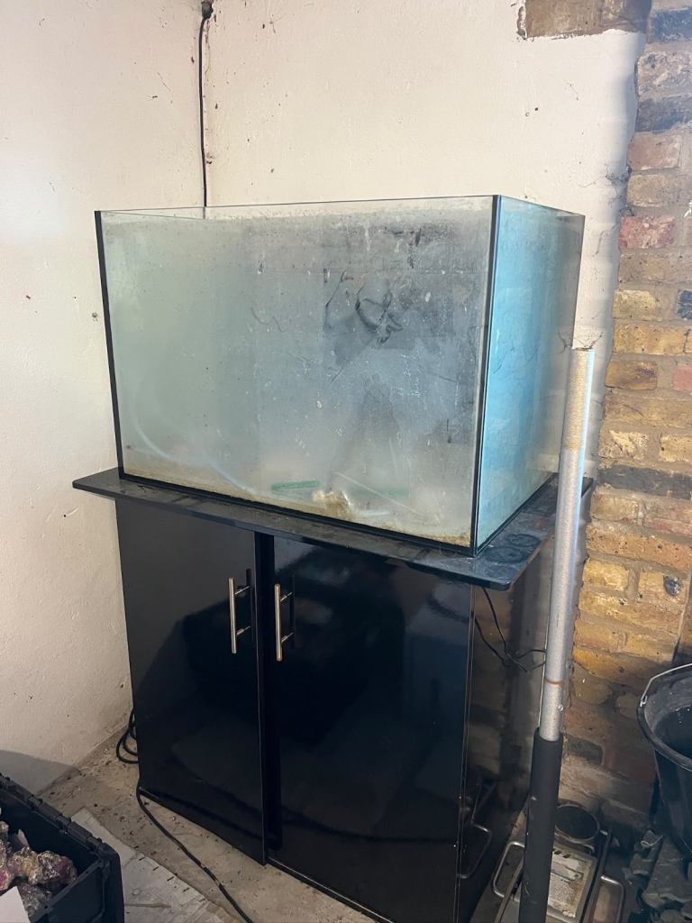 Fish tank and accessories 