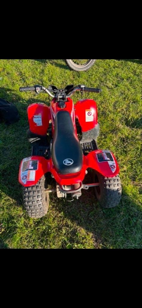 Quad 50cc 