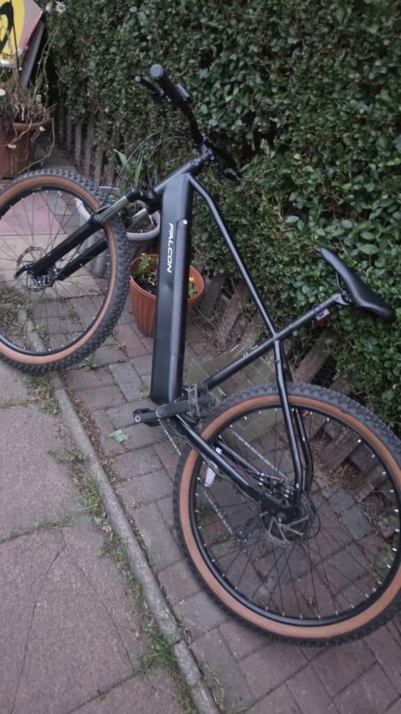 Electric bike