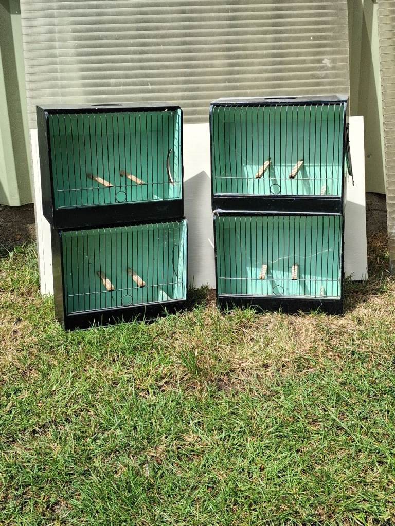 Bird Show Cages x 4