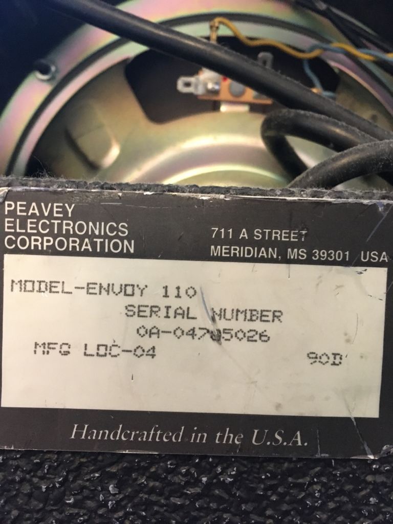 Peavey Envoy 110