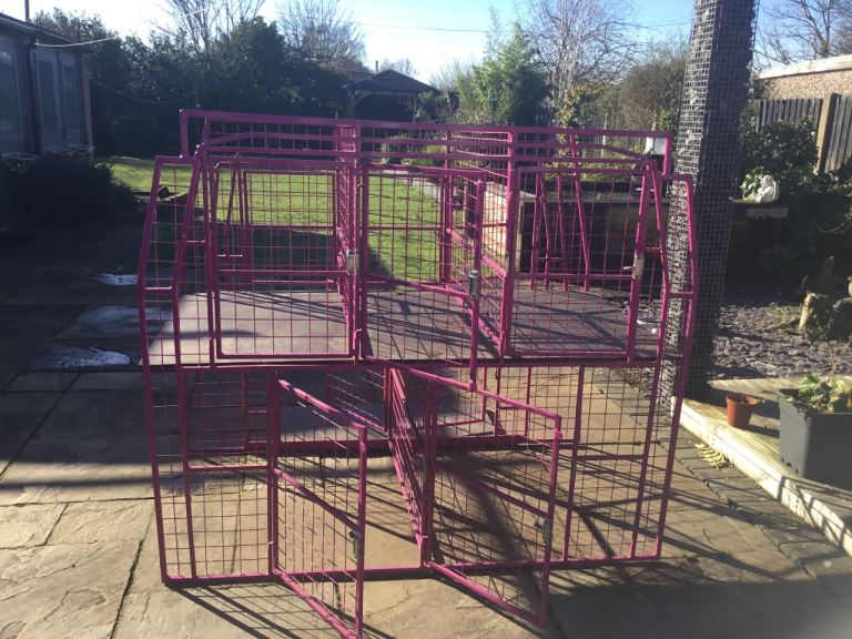 Dog cages for up to 5 dogs 