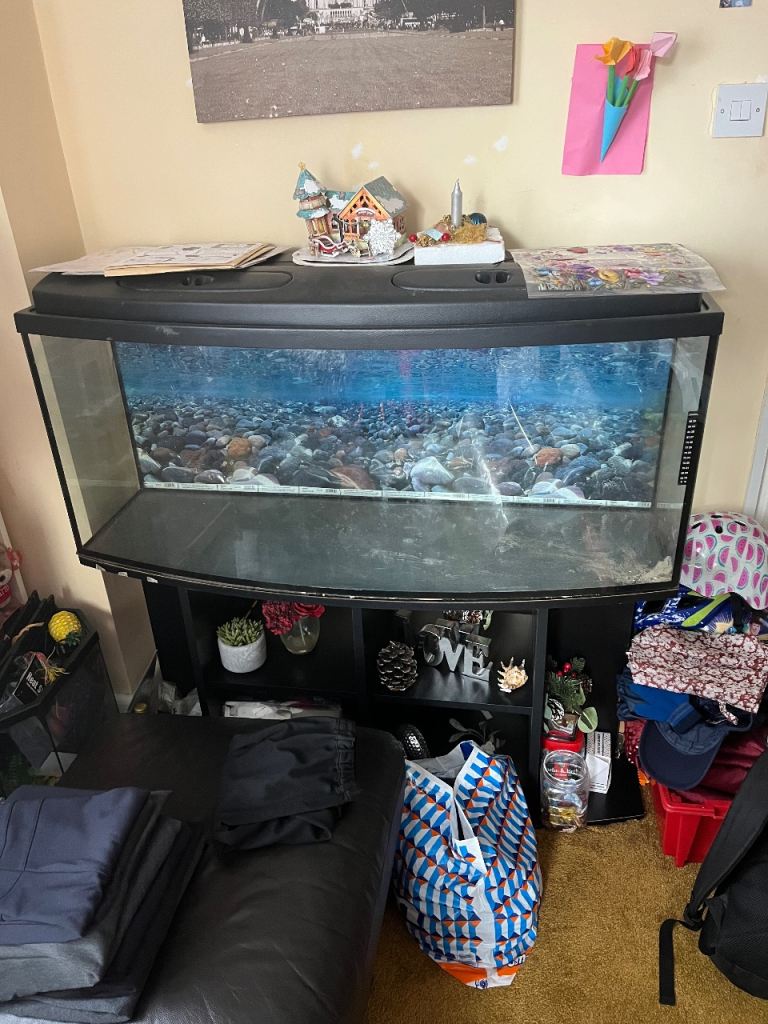 Fish tank 500L for quick sale gone 
