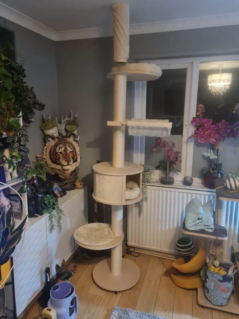 Large cat tree 