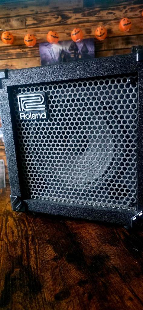 Roland Cube 20x amp with built in effects