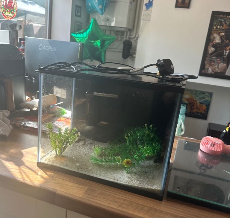 Fish tank and accessories