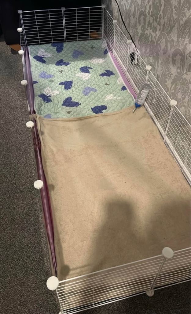 Kavee 6x2 Guinea Pig Cage 