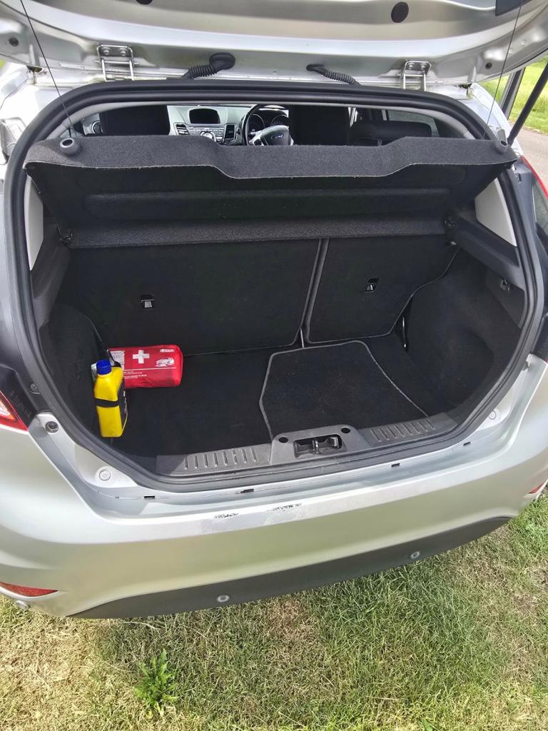 2013 ford fiesta 