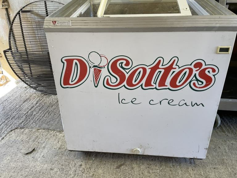 Ice cream chest freezer