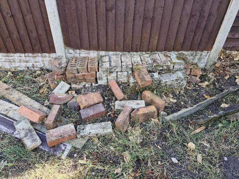 Free bricks to collect 
