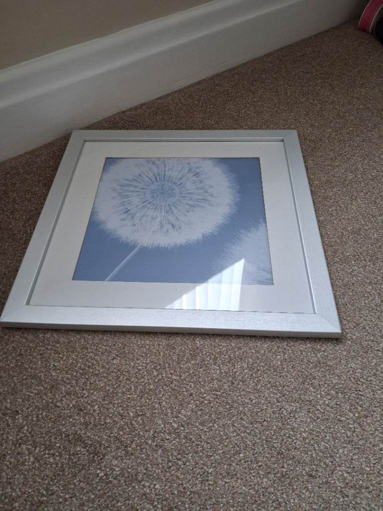 Silver coloured framed picture 