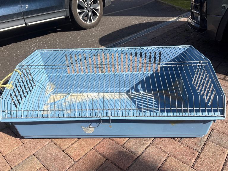 Cage for small animal