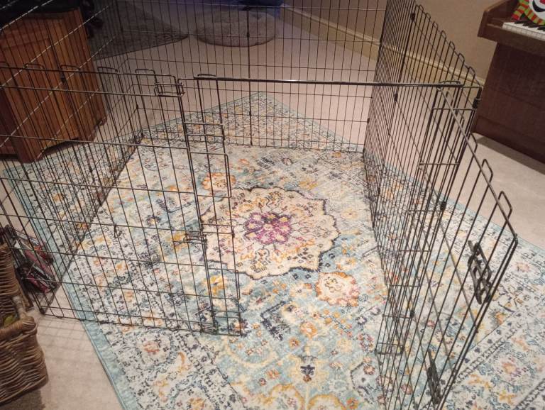 Metal dog cage 