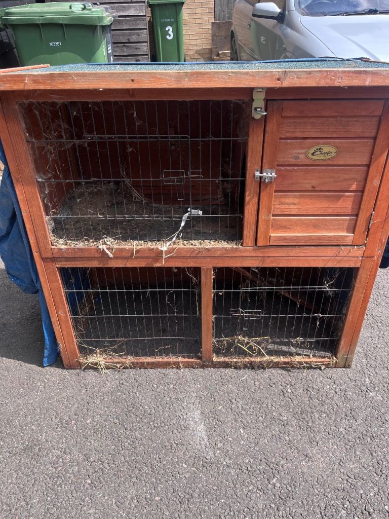 Rabbit hatch 