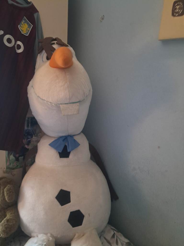 Snowman carrot 