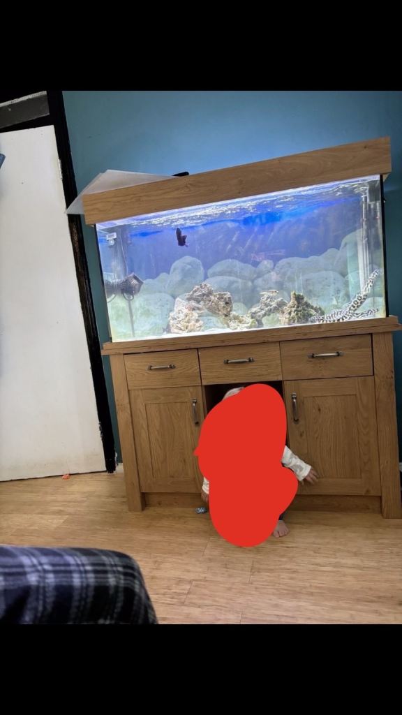 Large Wooden Aquarium with Cabinet – Good Condition